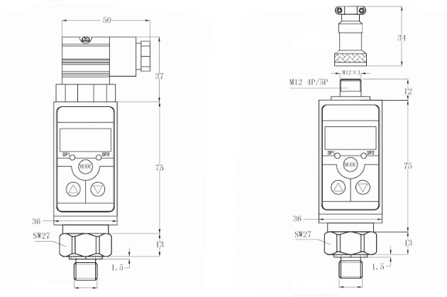 case (12)